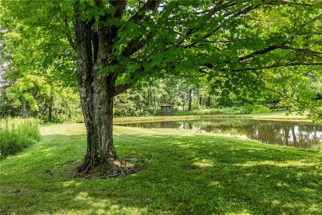 view of yard featuring a water view