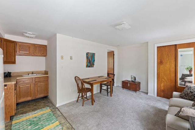 interior space featuring dark carpet and sink