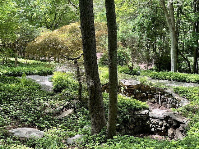 124 Seven Bridges Rd, Chappaqua, NY 10514 - photo 32