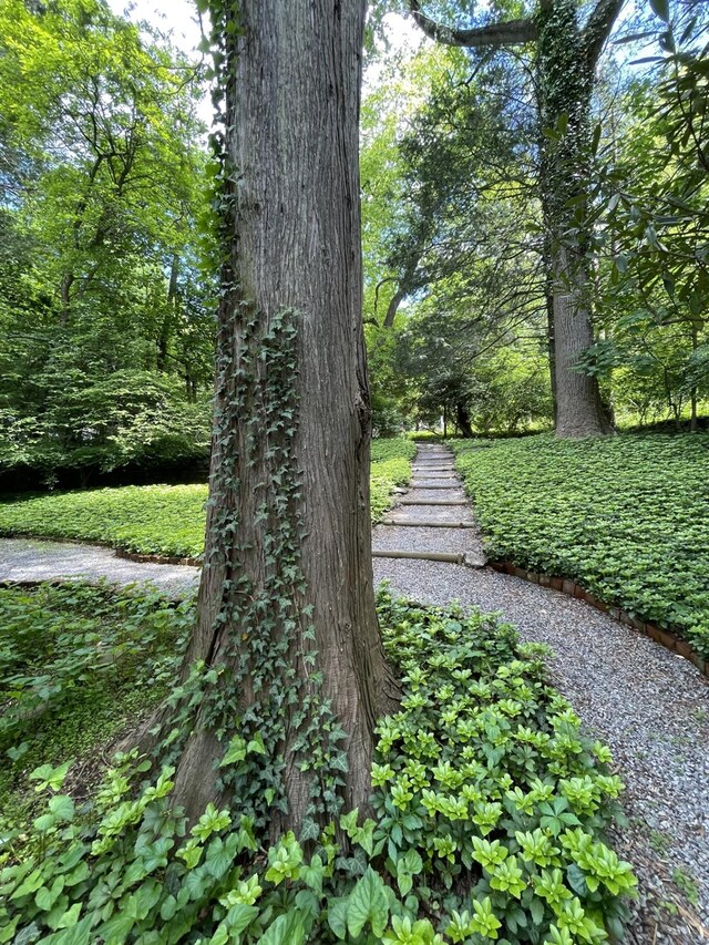 124 Seven Bridges Rd, Chappaqua, NY 10514 - photo 33