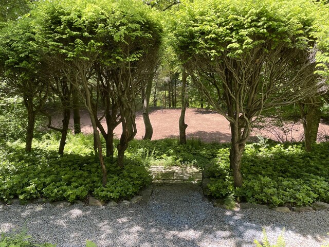 124 Seven Bridges Rd, Chappaqua, NY 10514 - photo 37