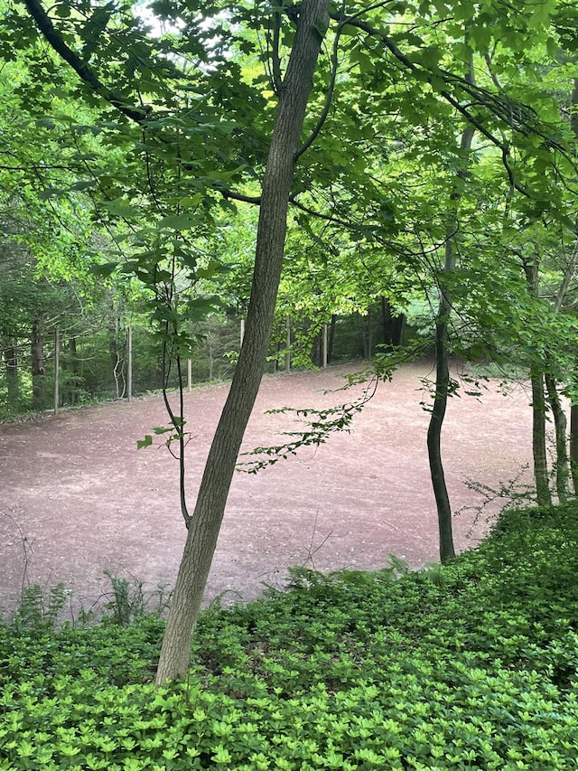 124 Seven Bridges Rd, Chappaqua, NY 10514 - photo 38