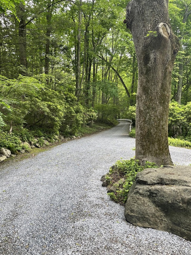 124 Seven Bridges Rd, Chappaqua, NY 10514 - photo 40