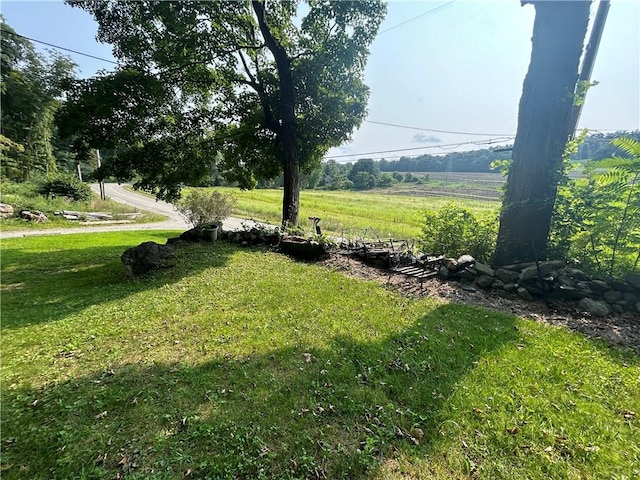 view of yard with a rural view