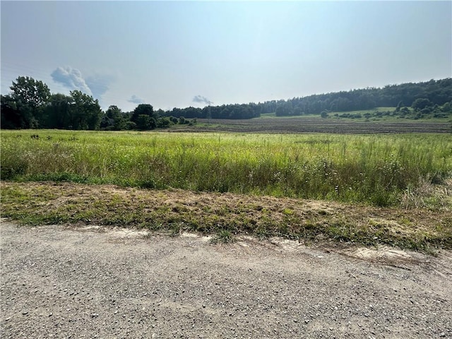 view of nature featuring a rural view