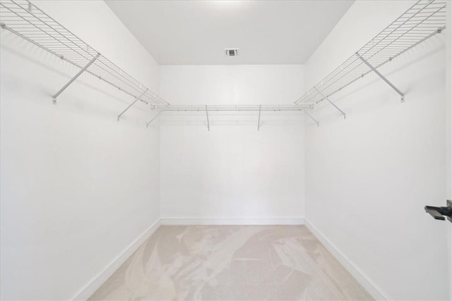 walk in closet with carpet flooring