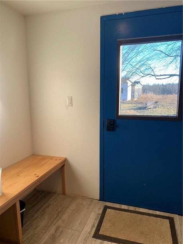 doorway to outside with light hardwood / wood-style floors