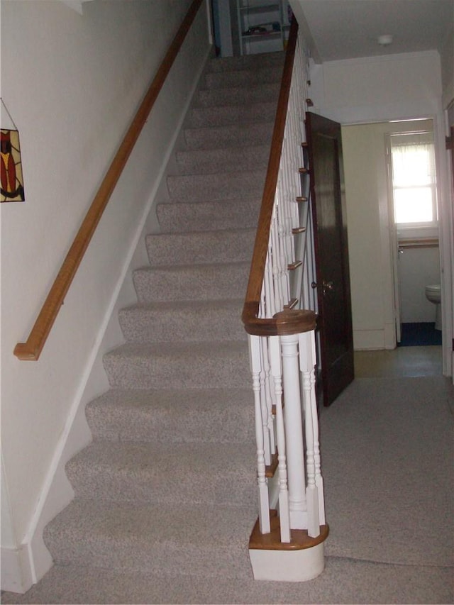 stairway featuring carpet flooring