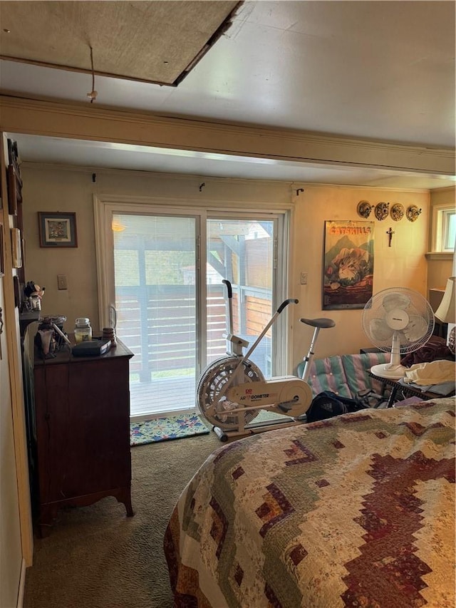 bedroom featuring carpet floors