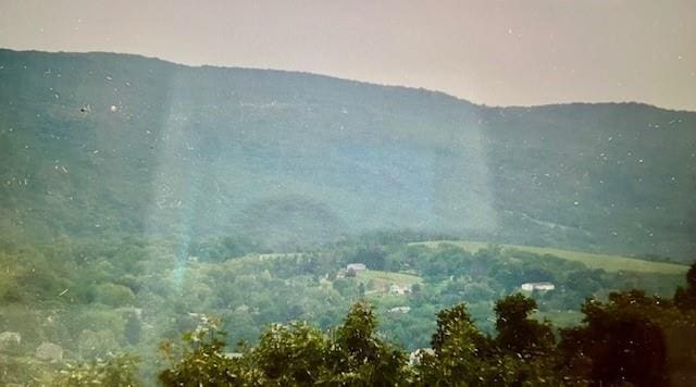 LOT9 Woodin Pl, Poughquag, NY 12570 - photo 6