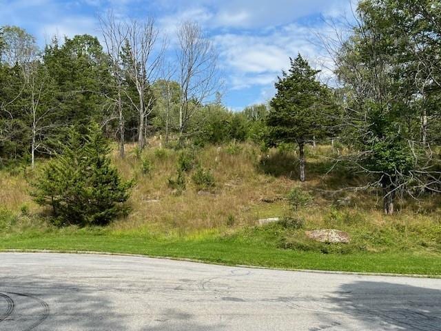 LOT9 Woodin Pl, Poughquag, NY 12570 - photo 9