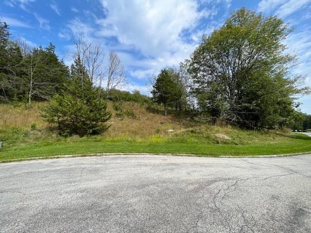 LOT9 Woodin Pl, Poughquag, NY 12570 - photo 10