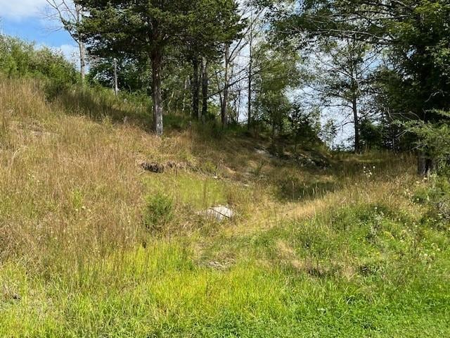LOT9 Woodin Pl, Poughquag, NY 12570 - photo 11