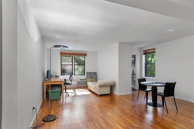 office with wood-type flooring