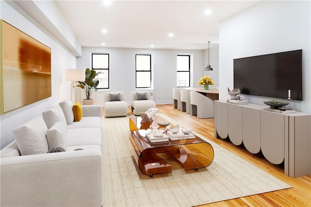 living room featuring light hardwood / wood-style flooring