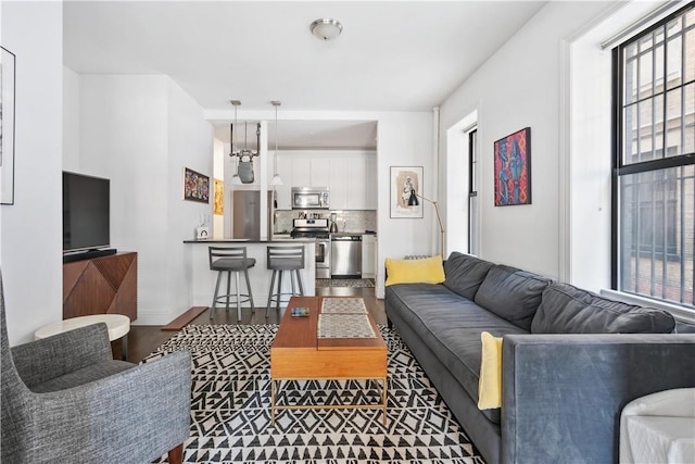 living room with wood-type flooring