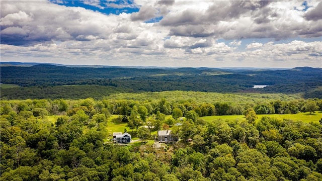 bird's eye view featuring a mountain view