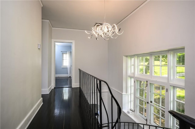 hallway with a chandelier, ornamental molding, and dark wood-type flooring