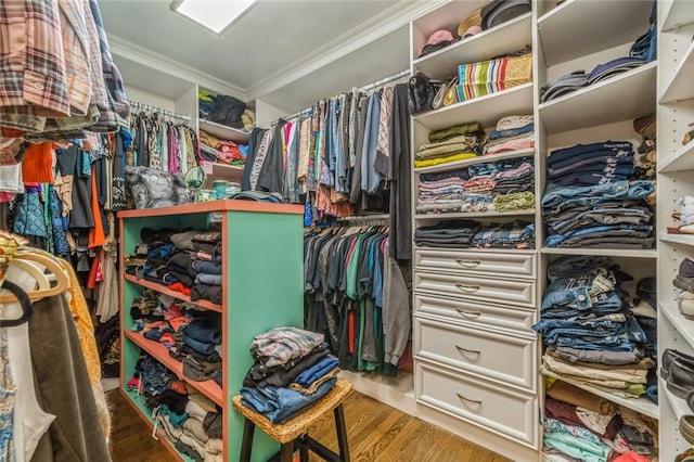 walk in closet with hardwood / wood-style floors