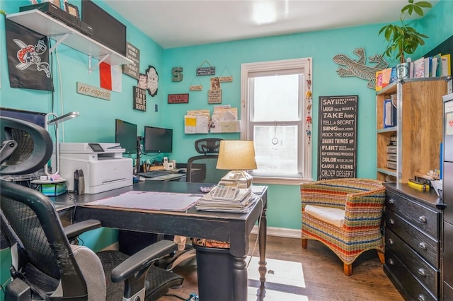 office area featuring wood-type flooring