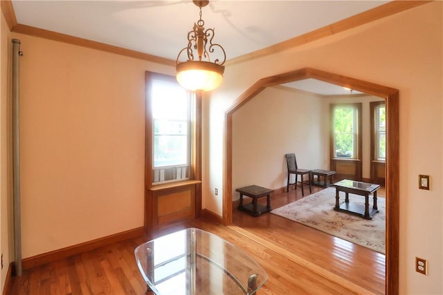 bonus room with light wood-type flooring