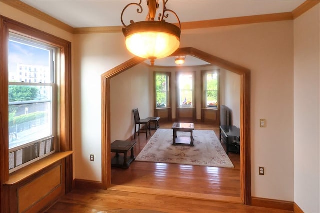 additional living space featuring hardwood / wood-style floors