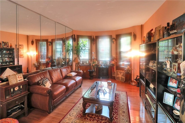 living room featuring hardwood / wood-style flooring