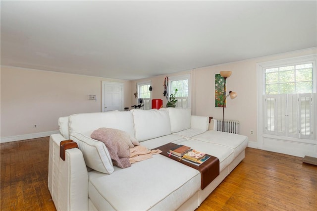 living room with radiator and hardwood / wood-style flooring