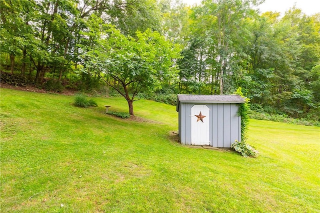 view of yard featuring a storage unit