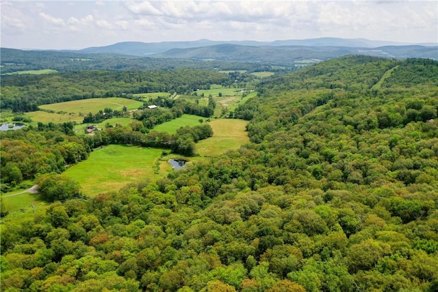 Texas Hill Rd, Hillsdale NY, 12529 land for sale