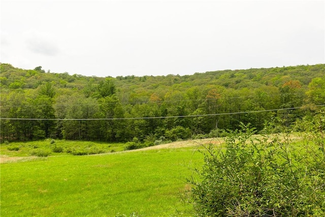 Listing photo 3 for Texas Hill Rd, Hillsdale NY 12529