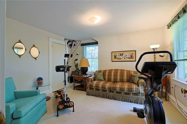 exercise room with baseboard heating, light carpet, and a wealth of natural light