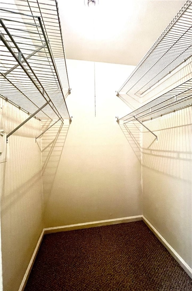 walk in closet with carpet