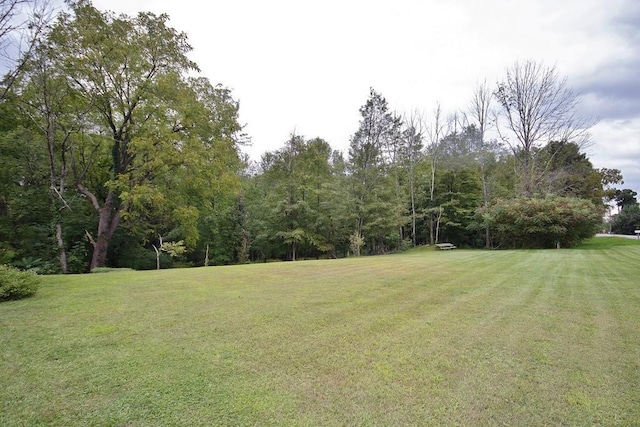 168 S Centerville Rd, Middletown, NY 10940 - view of grassy yard