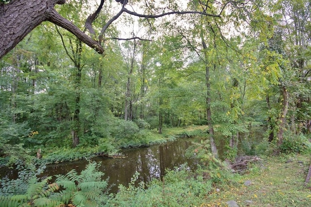 view of local wilderness featuring a water view