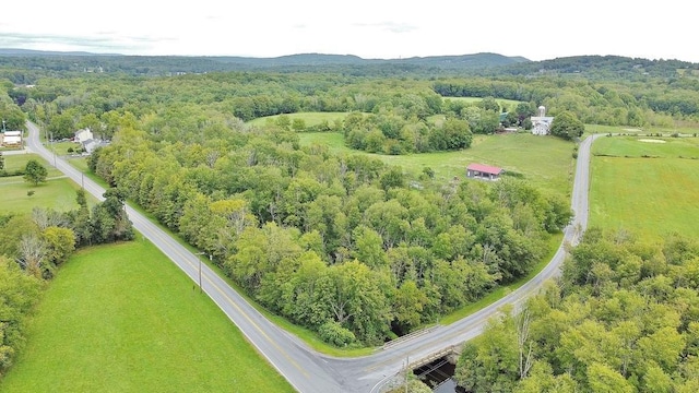 168 S Centerville Rd, Middletown, NY 10940 - bird's eye view of a heavily wooded area