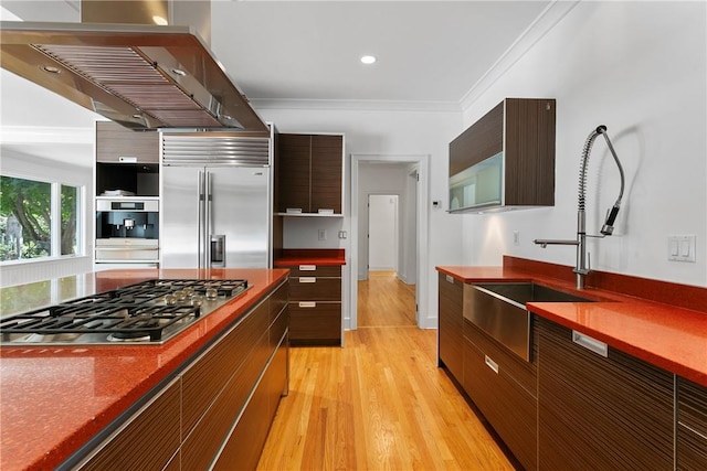 kitchen featuring ventilation hood, sink, light hardwood / wood-style flooring, ornamental molding, and appliances with stainless steel finishes