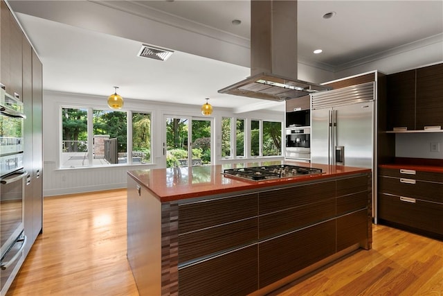 kitchen with stainless steel appliances, light hardwood / wood-style floors, island range hood, dark brown cabinets, and ornamental molding