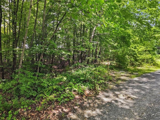 Beckrick Dr, Rhinebeck NY, 12572 land for sale