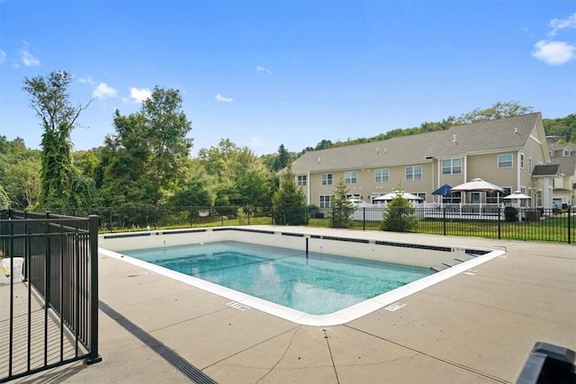 view of pool with a patio area