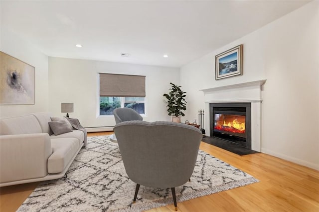 living room with wood-type flooring and a baseboard radiator