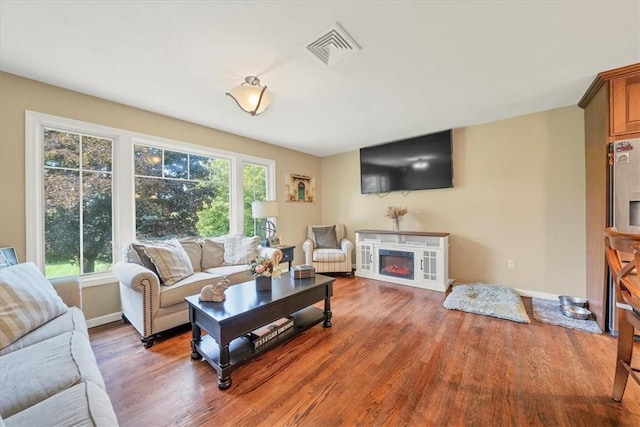 living room with wood-type flooring