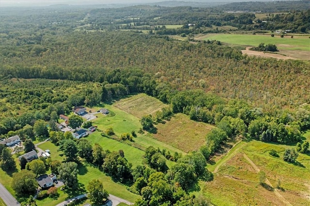 James Way, Pleasant Valley, NY 12569