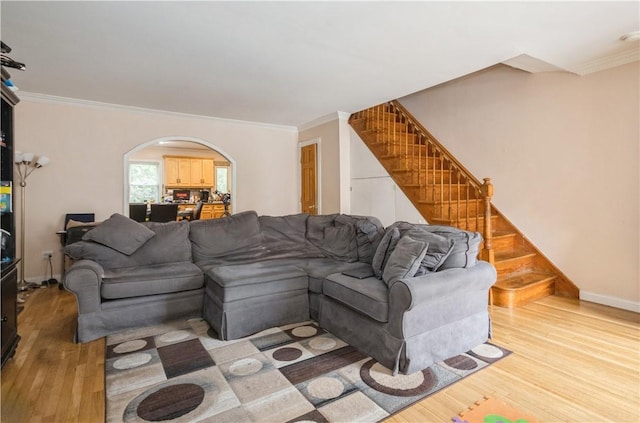 living room with light hardwood / wood-style floors and ornamental molding