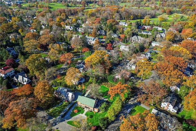 aerial view