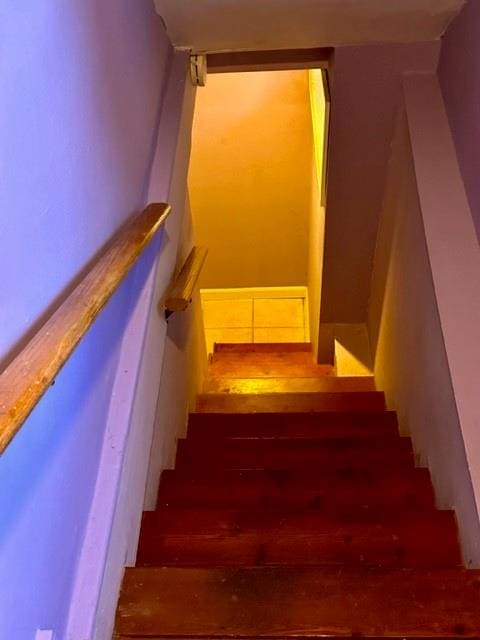 staircase featuring wood-type flooring