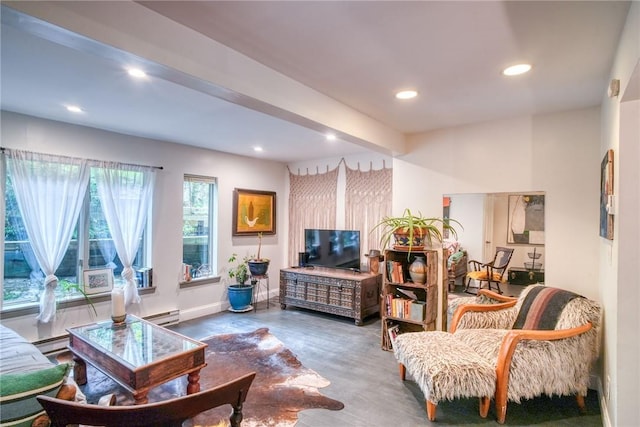 living room featuring hardwood / wood-style flooring and a baseboard radiator