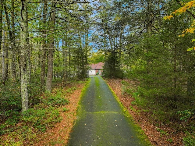 view of road featuring driveway