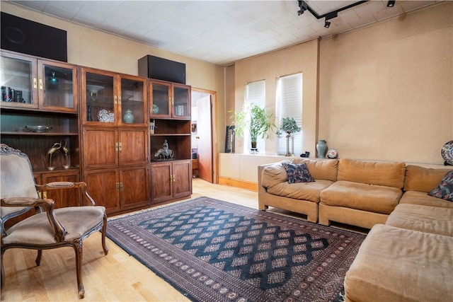 living room featuring light wood-type flooring