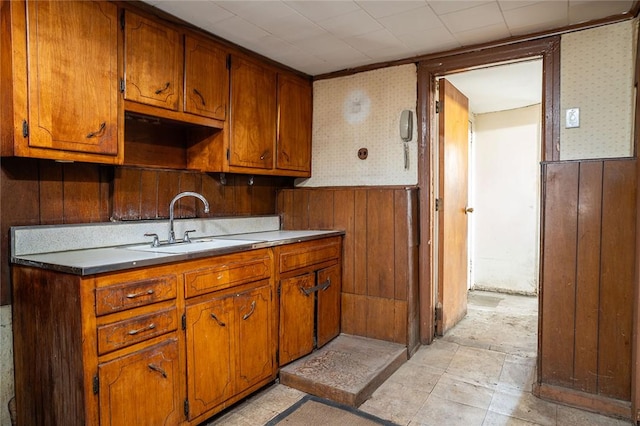 kitchen with wooden walls and sink